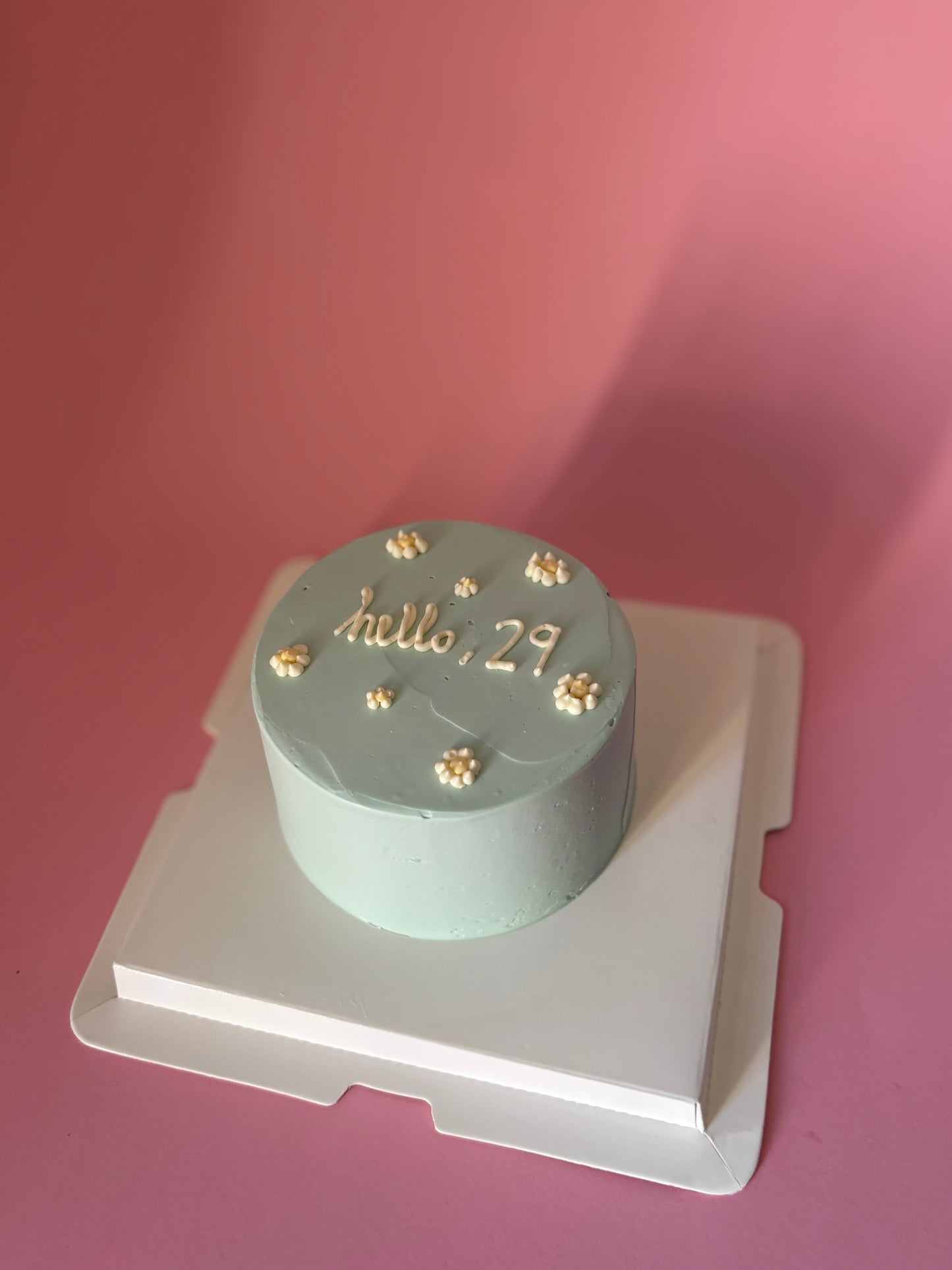 Custom Bento Cakes