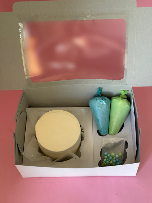 DIY Bento Cake