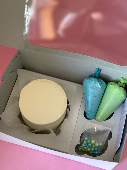 DIY Bento Cake