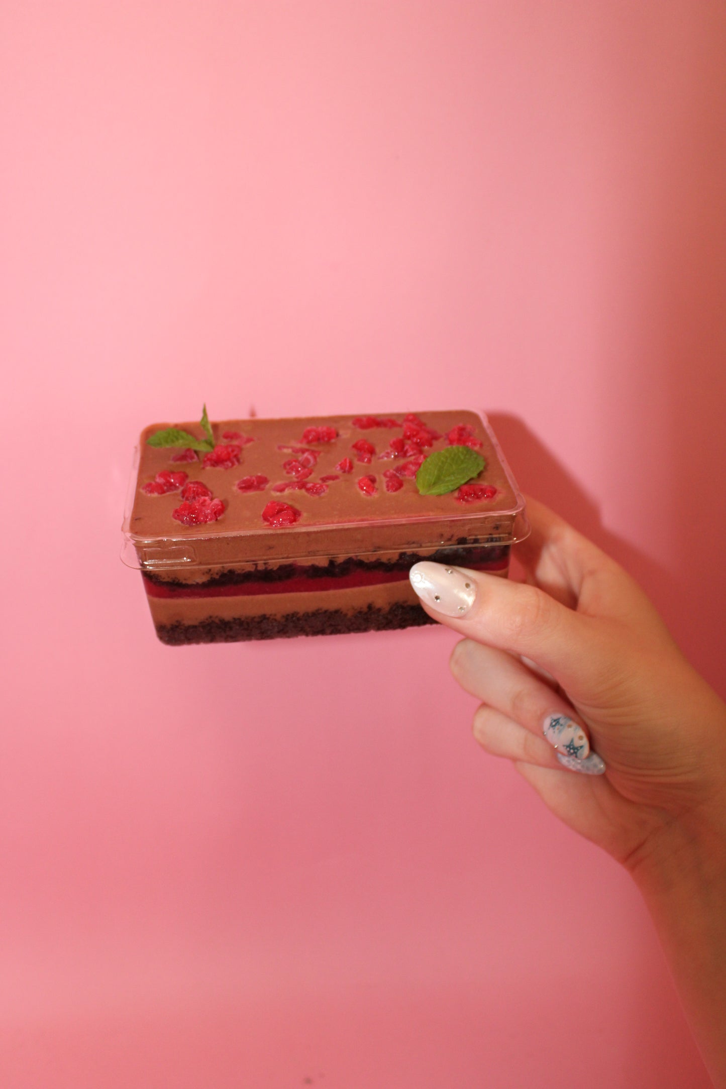 Chocolate and Raspberry Ganache Cake - Cake of the Month