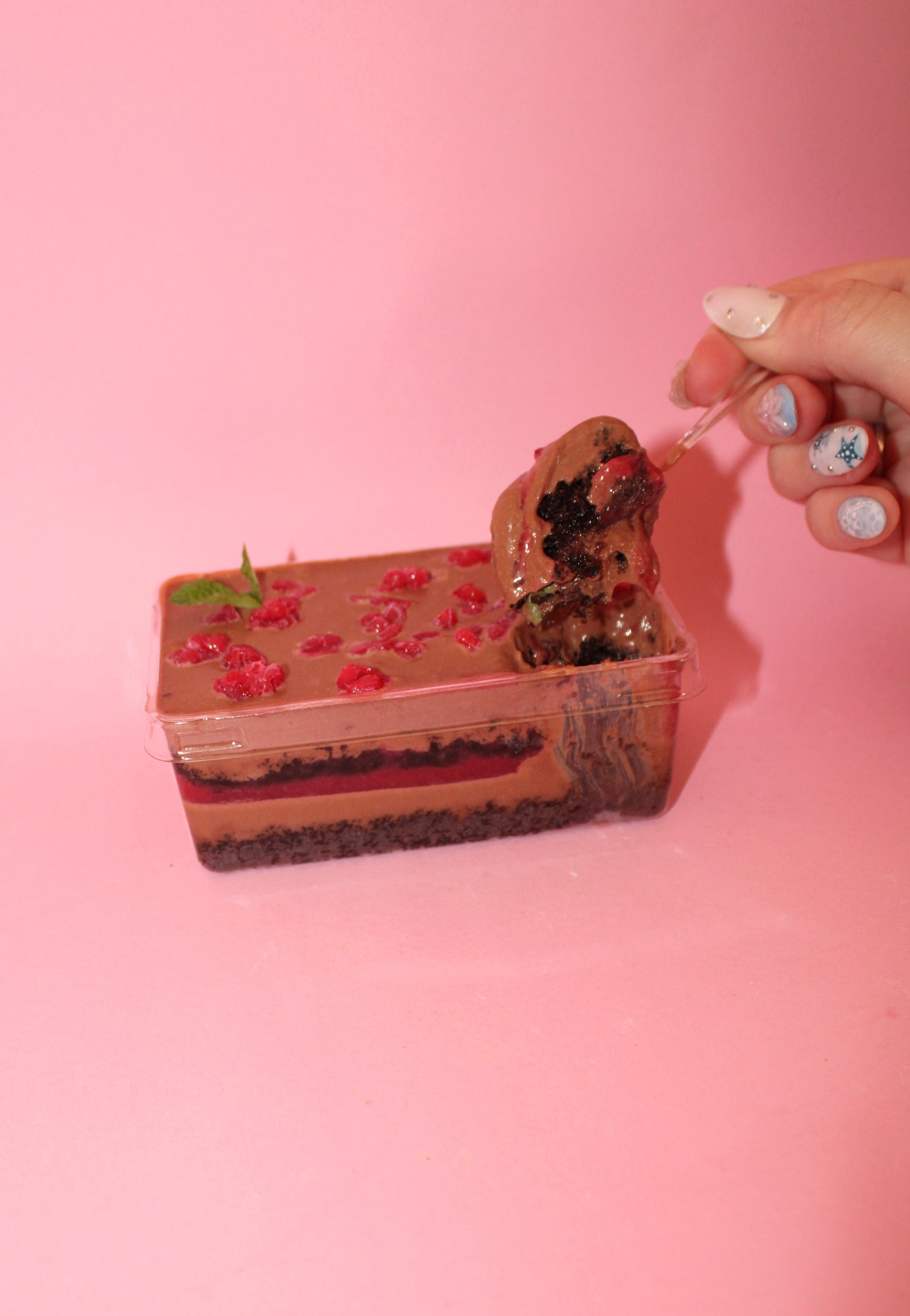 Chocolate and Raspberry Ganache Cake - Cake of the Month